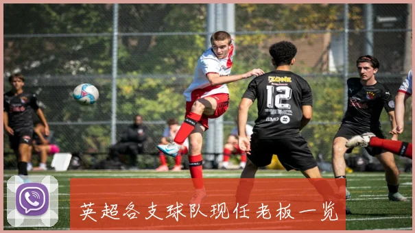 英超各支球队现任老板一览