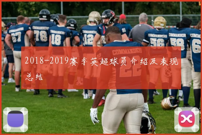 2018-2019赛季英超球员介绍及表现总结