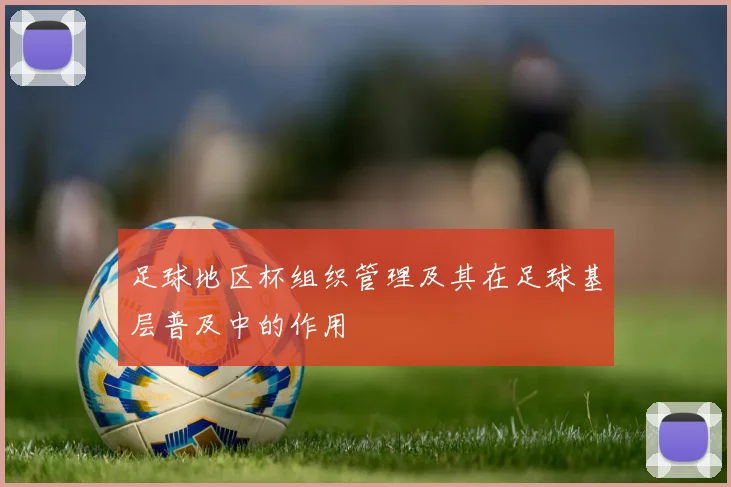 足球地区杯组织管理及其在足球基层普及中的作用