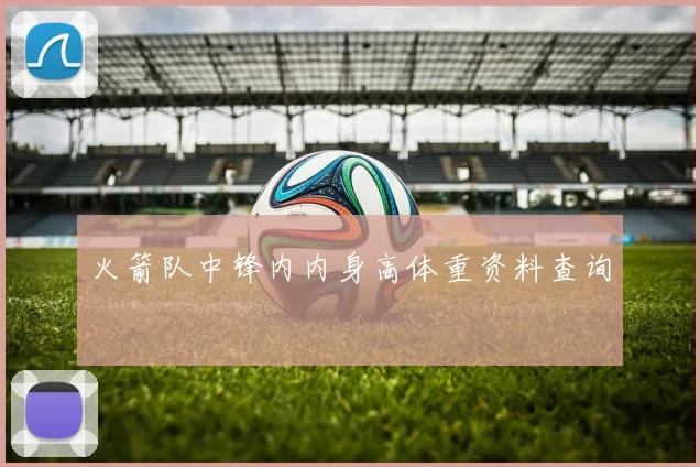 火箭队中锋内内身高体重资料查询