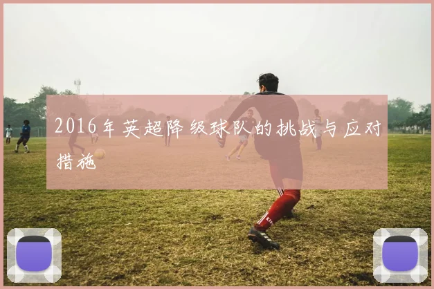 2016年英超降级球队的挑战与应对措施