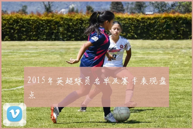 2015年英超球员名单及赛季表现盘点