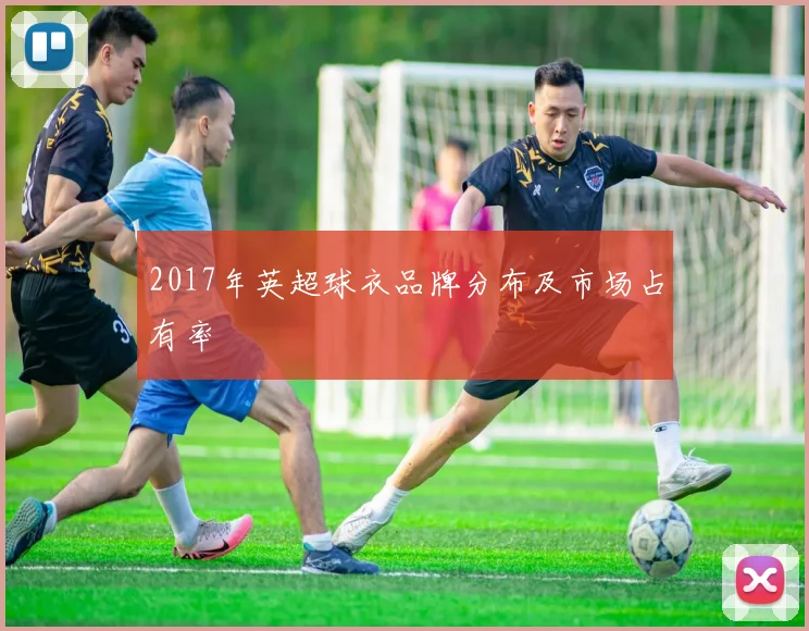 2017年英超球衣品牌分布及市场占有率