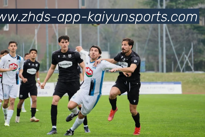 开云体育服务体系